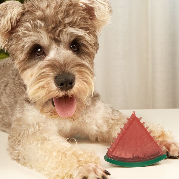 

Watermelon Shaped Pet Chew Toy, Multicolor