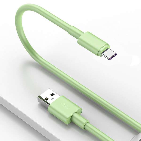 

1M Fast Charging Type-C Data Cable, Green