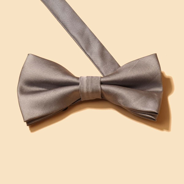 

Men Solid Bow Tie, Silver