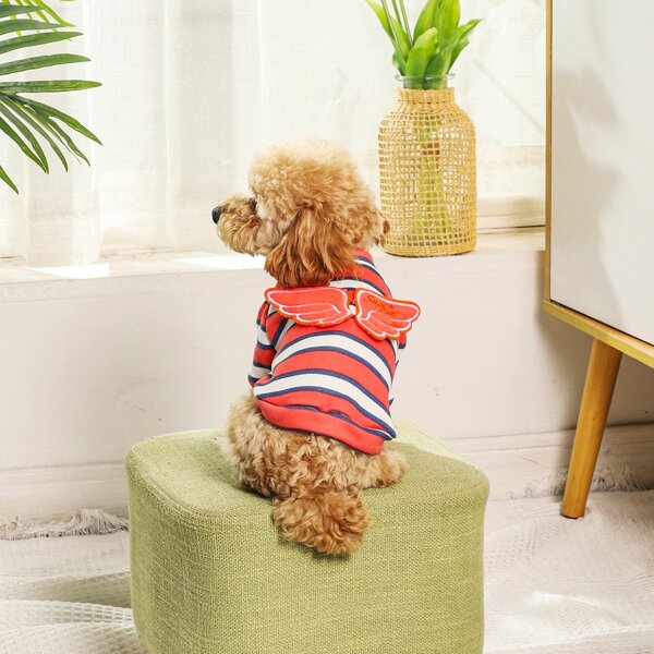 

Wing Decor Pet Sweatshirt, Multicolor