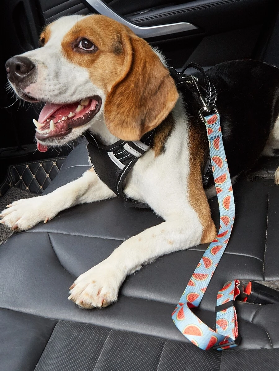 西瓜圖案寵物安全帶 - 彩色 - 查看 1