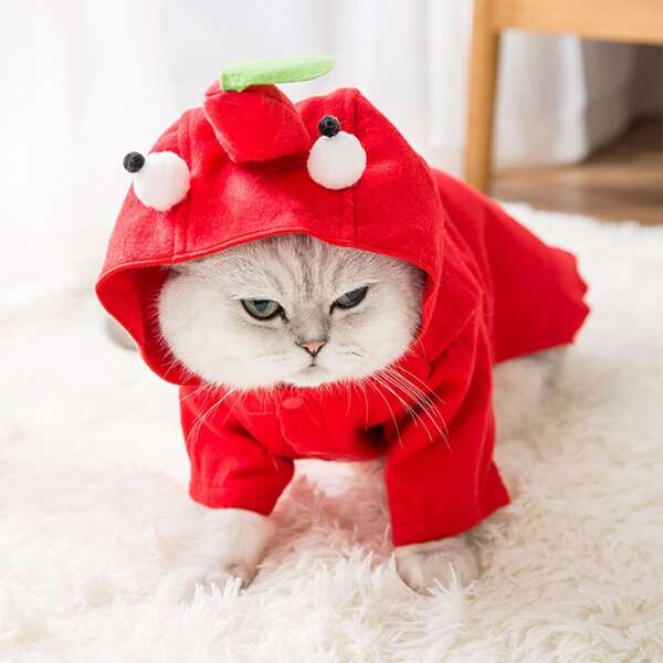 

Cartoon Chili Design Pet Costume, Red