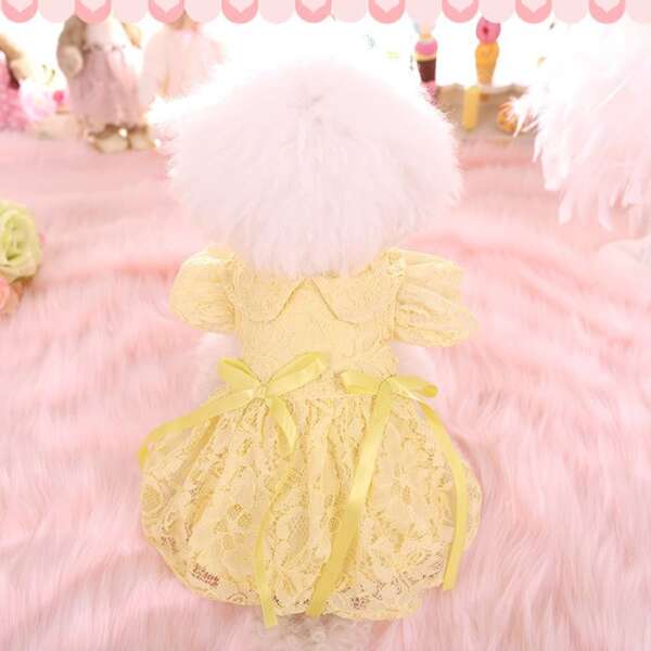 

1pc Pet Lace Dress, Yellow