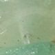 màu xanh lá