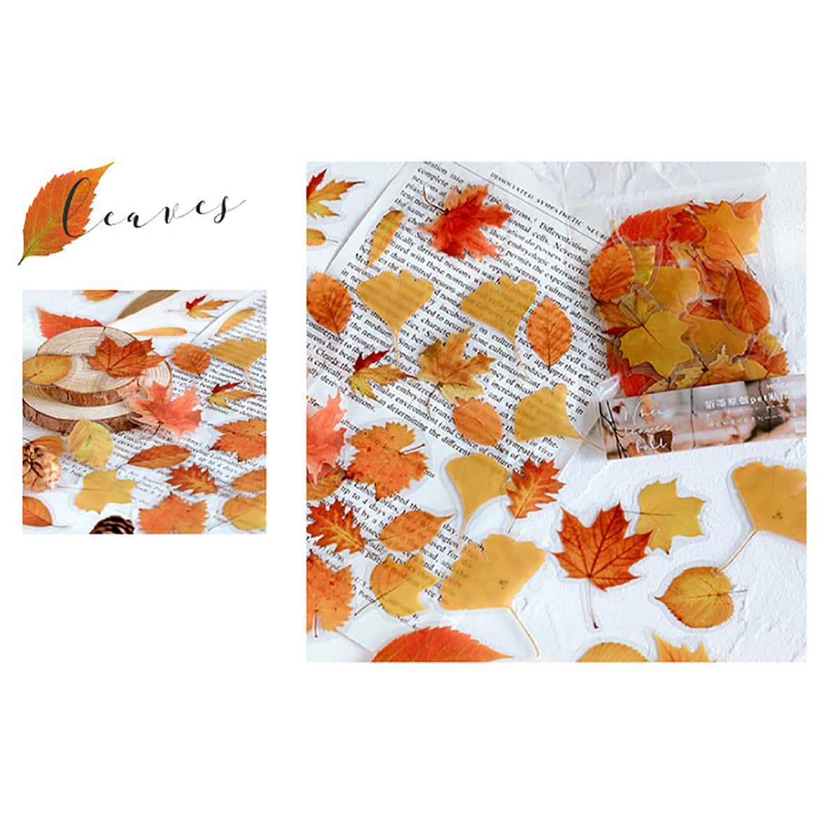 

40pcs Leaf Pattern Sticker, Multicolor