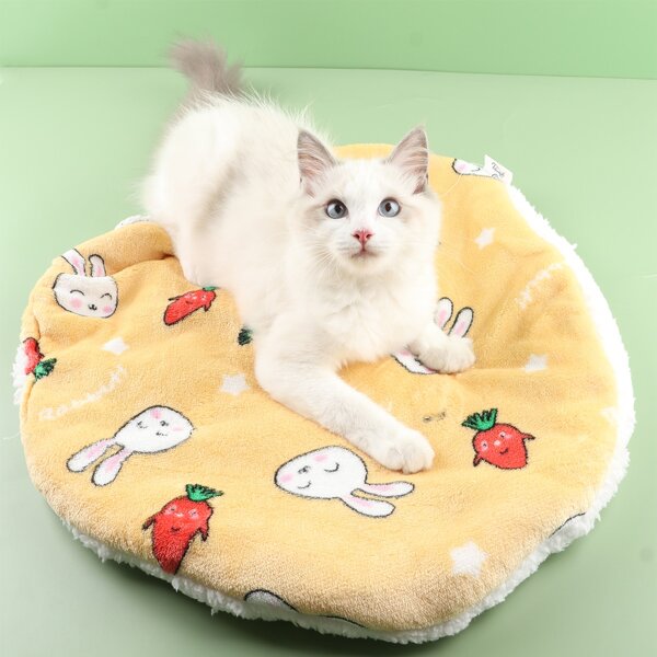 

Cartoon Rabbit Print Pet Crate Mat, Multicolor