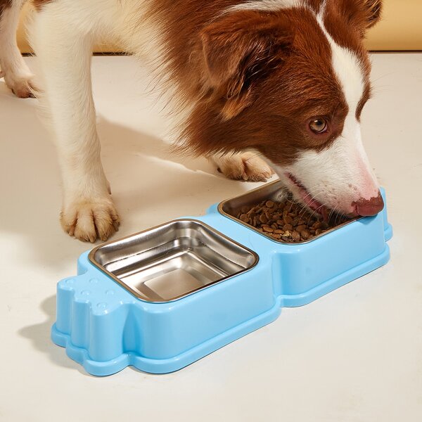 

Candy Design Pet Double Bowl, Blue
