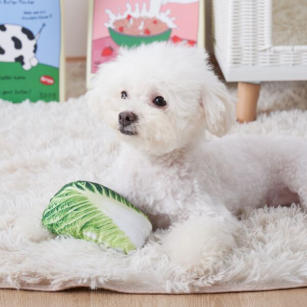 

Chinese Cabbage Shaped Pet Sound Toy, Green