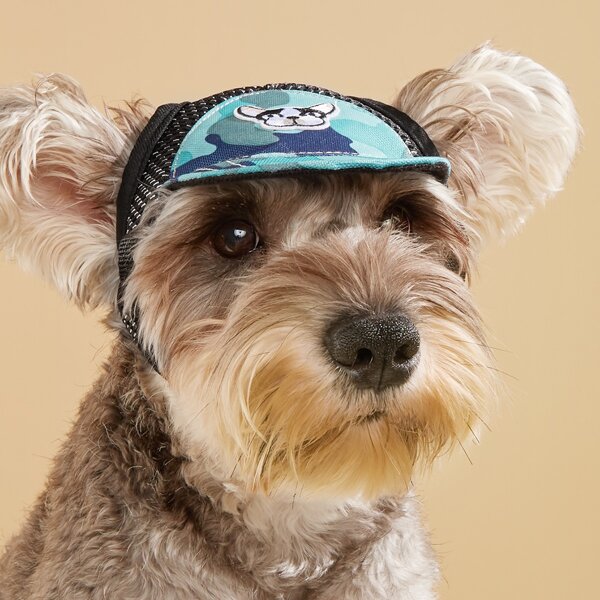 

1pc Dog Patch Pet Cap, Multicolor