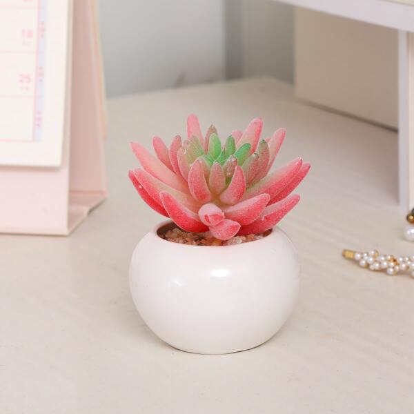 

1pc Artificial Potted Succulent, Pink