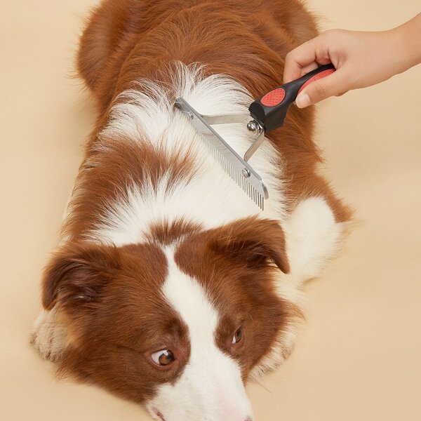 

1pc Pet Hair Comb, Multicolor