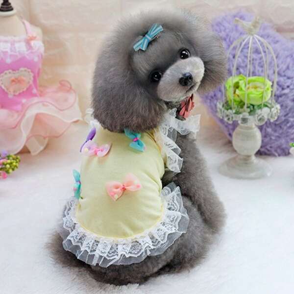 

Bow Decor Lace Pet Dress, Multicolor