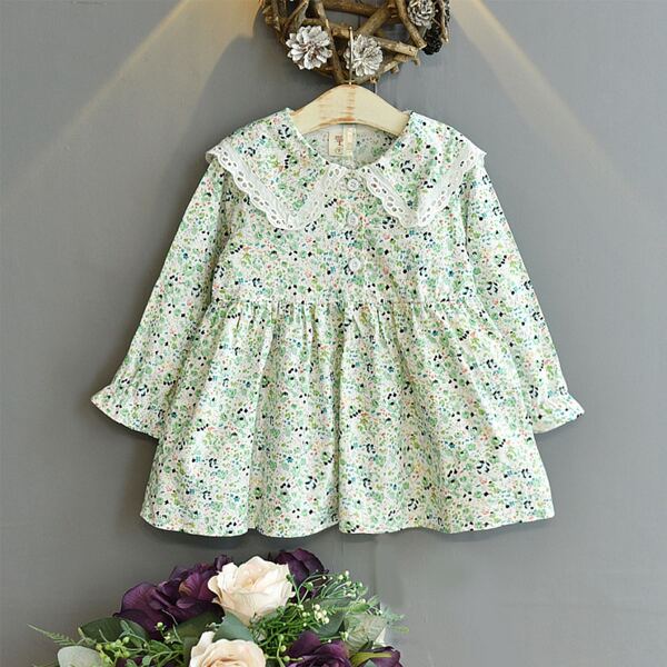 

Toddler Girls Ditsy Floral Half Button Peter Pan Collar Dress, Mint green