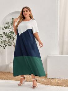 SHEIN Unity Plus Cut And Sew Dress - Multicolor - View 5