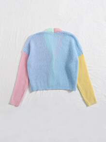 Single Breasted Colorblock Cardigan - Multicolor - View 2