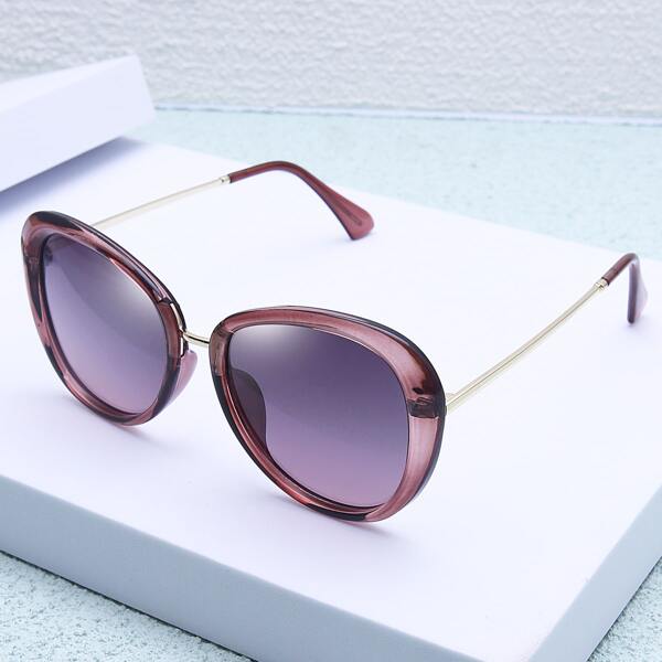 

Simple Tinted Lens Sunglasses