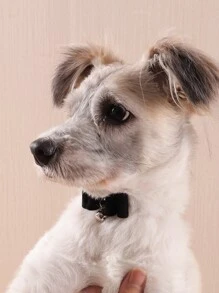 蝴蝶結細節寵物項圈 - 黑色 - 查看 7