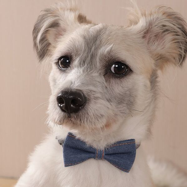 

1pc Denim Pet Bow, Navy blue