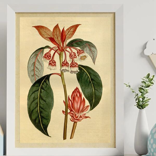 

Flower Print Unframed Painting, Multicolor