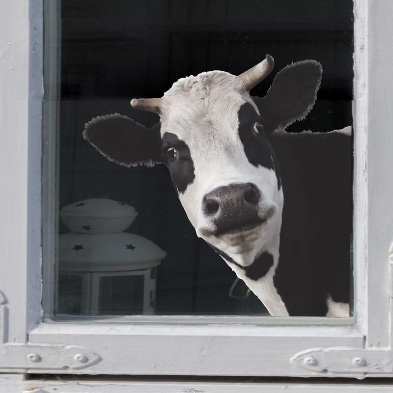 

Cow Print Wall Sticker, Black and white