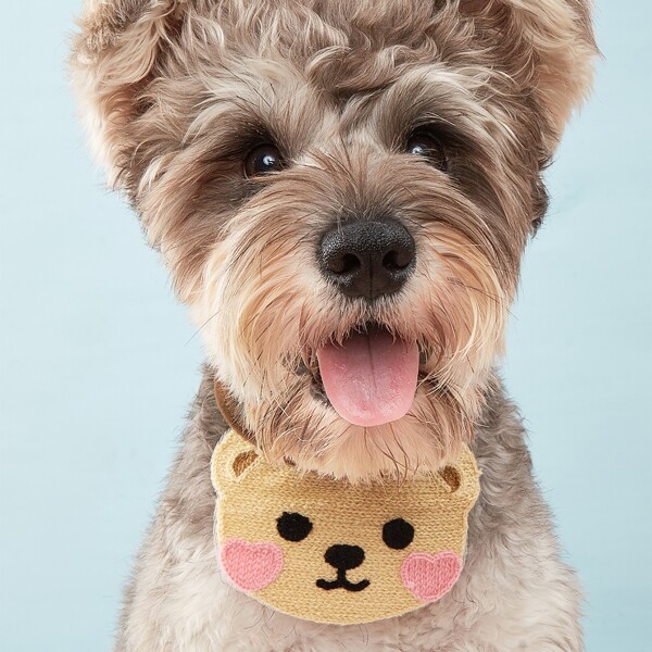 

Bear Design Knitted Pet Bandana, Multicolor