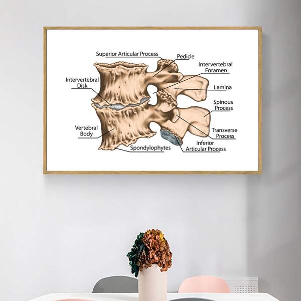 

1pc Bone Introduction Unframed Painting, Multicolor