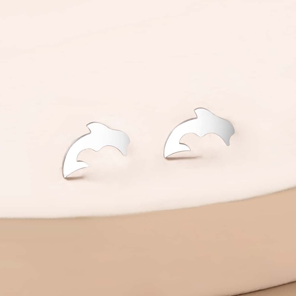 

Stainless Steel Stud Earrings, Silver
