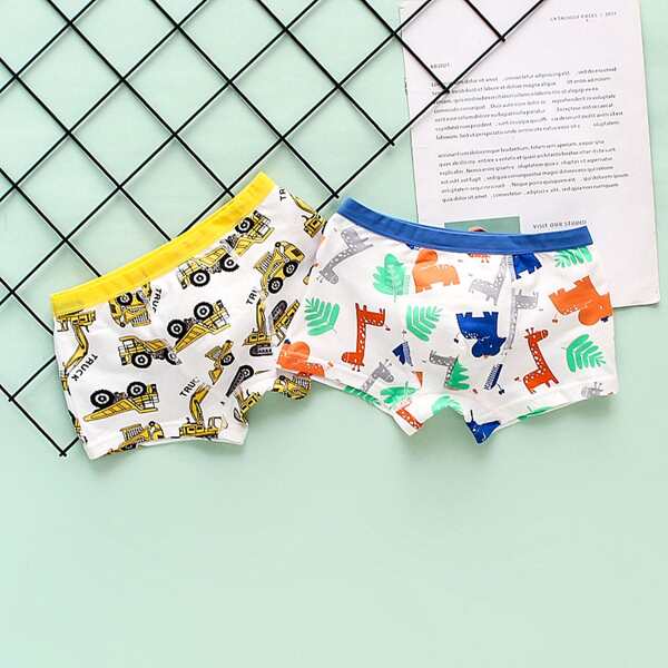 

Boys 2pcs Cartoon Graphic Boxer Brief, Multicolor