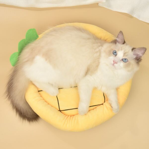 

Pineapple Design Pet Bed, Multicolor