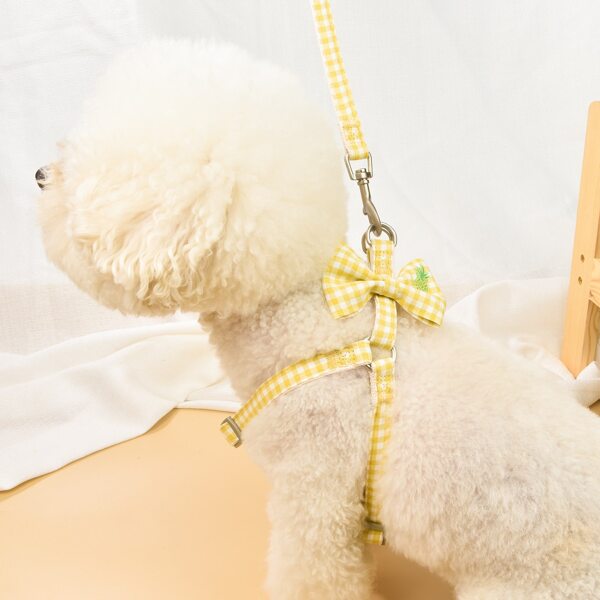 

1pc Gingham Pattern Pet Harness & 1pc Leash, Multicolor
