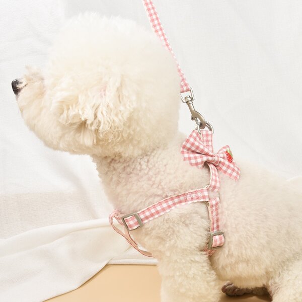

1pc Gingham Pattern Pet Harness & 1pc Leash, Multicolor