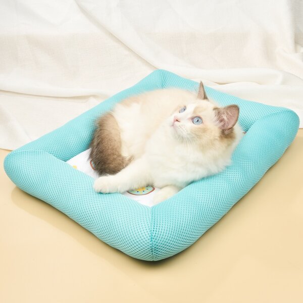 

Fruit Print Pet Bed, Multicolor