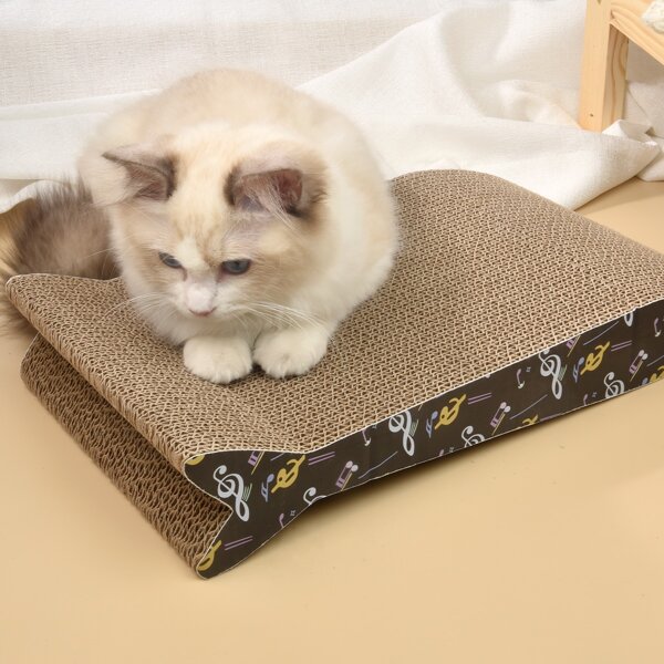 

Music Note Print Cat Scratcher, Multicolor