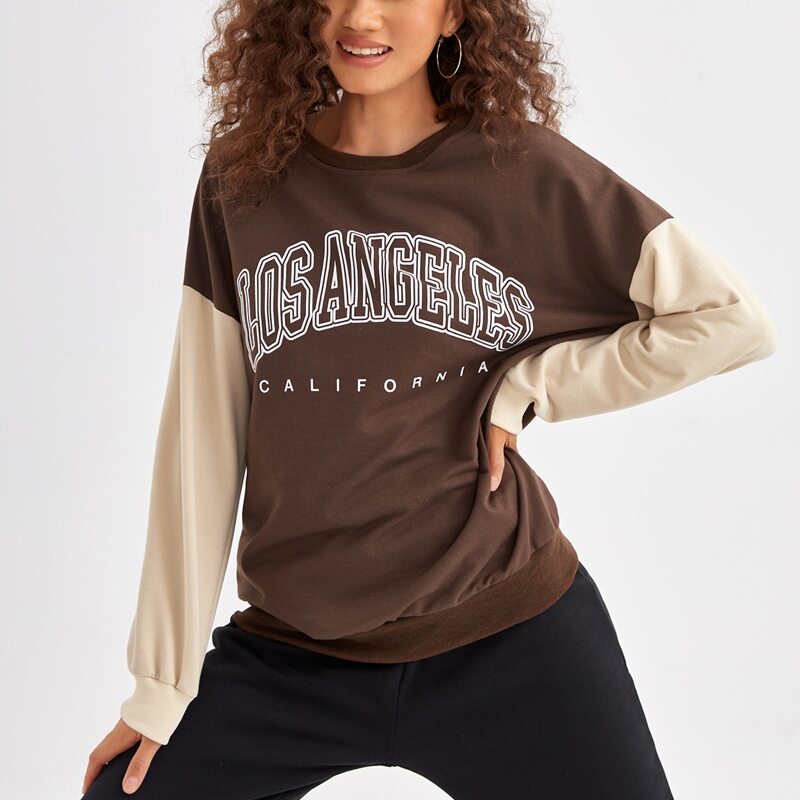 

Letter Colorblock Oversized Sweatshirt, Multicolor