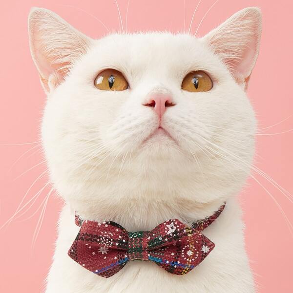 

Snowflake Print Pet Bow, Multicolor