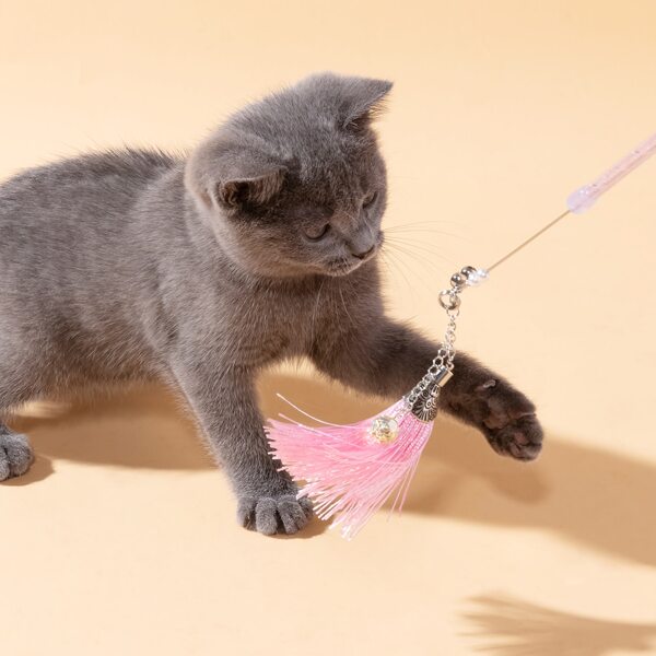 

Tassel Pendant Cat Teaser Wand, Multicolor