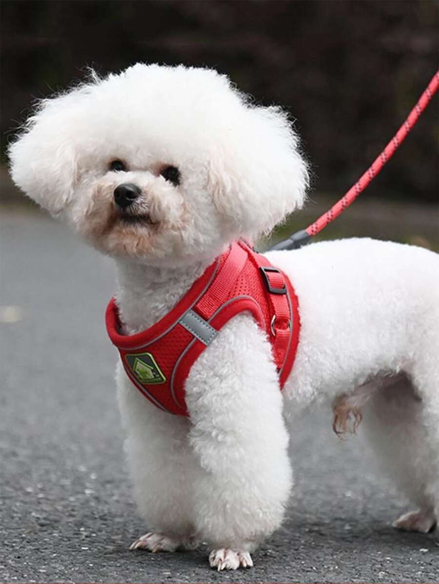 1入組反光寵物背帶和1入組皮帶附带透氣網紗 - 紅色 - 查看 1