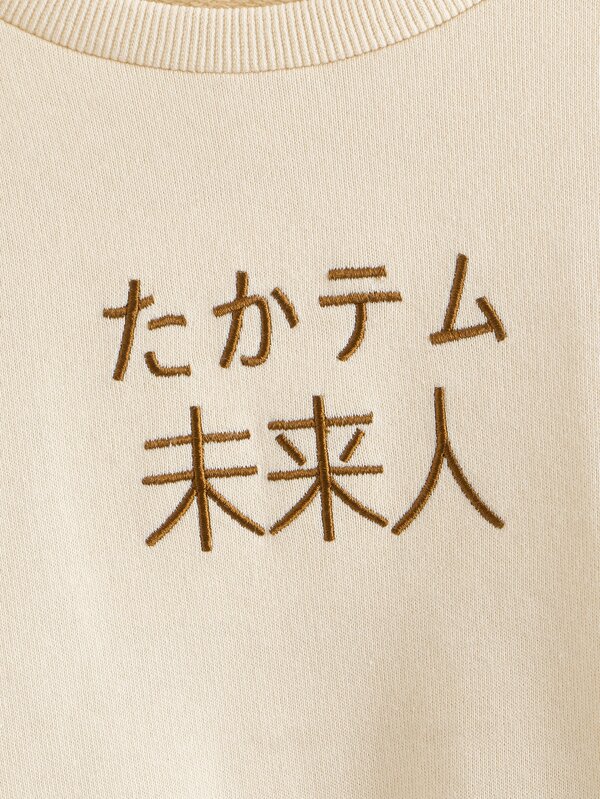 たかテム未来人