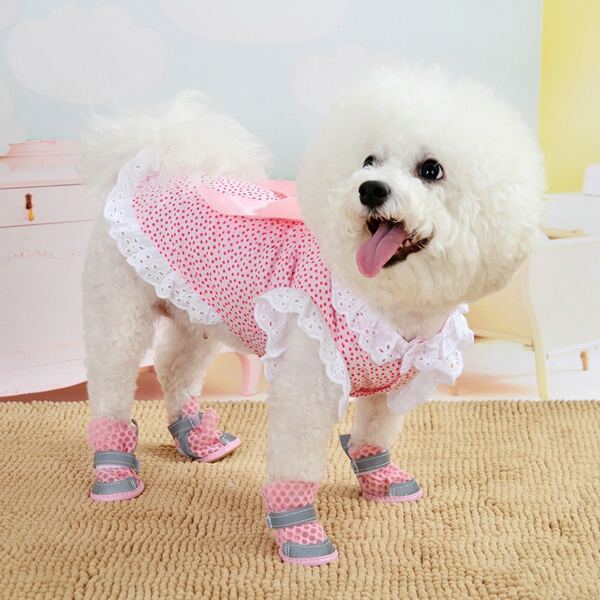 

Bow Detail Pet Dress, Multicolor