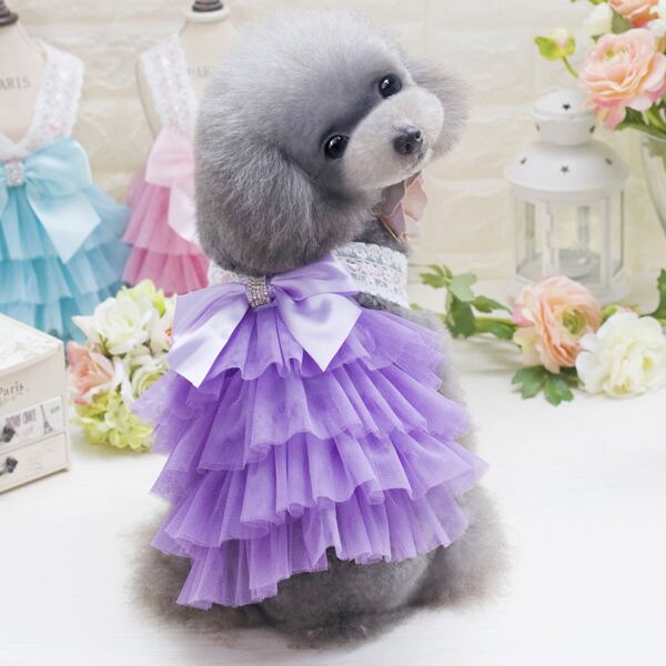 

Bow Detail Pet Lace Dress, Multicolor