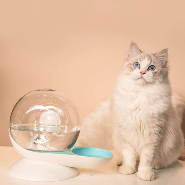 

1pc Random Color Pet Water Feeder, Multicolor