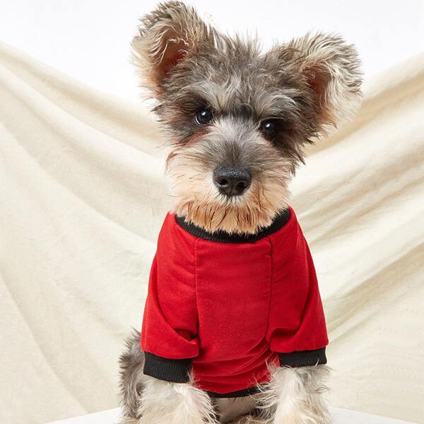 

Cartoon Graphic Pet Sweatshirt, Multicolor