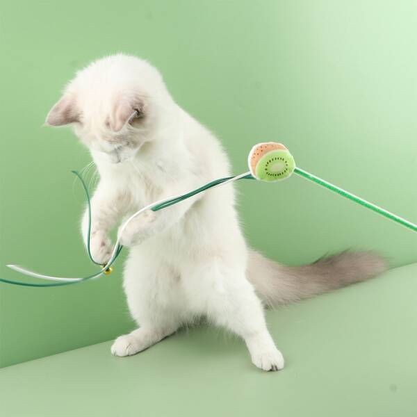 

1pc Kiwi Design Cat Teaser Stick, Multicolor
