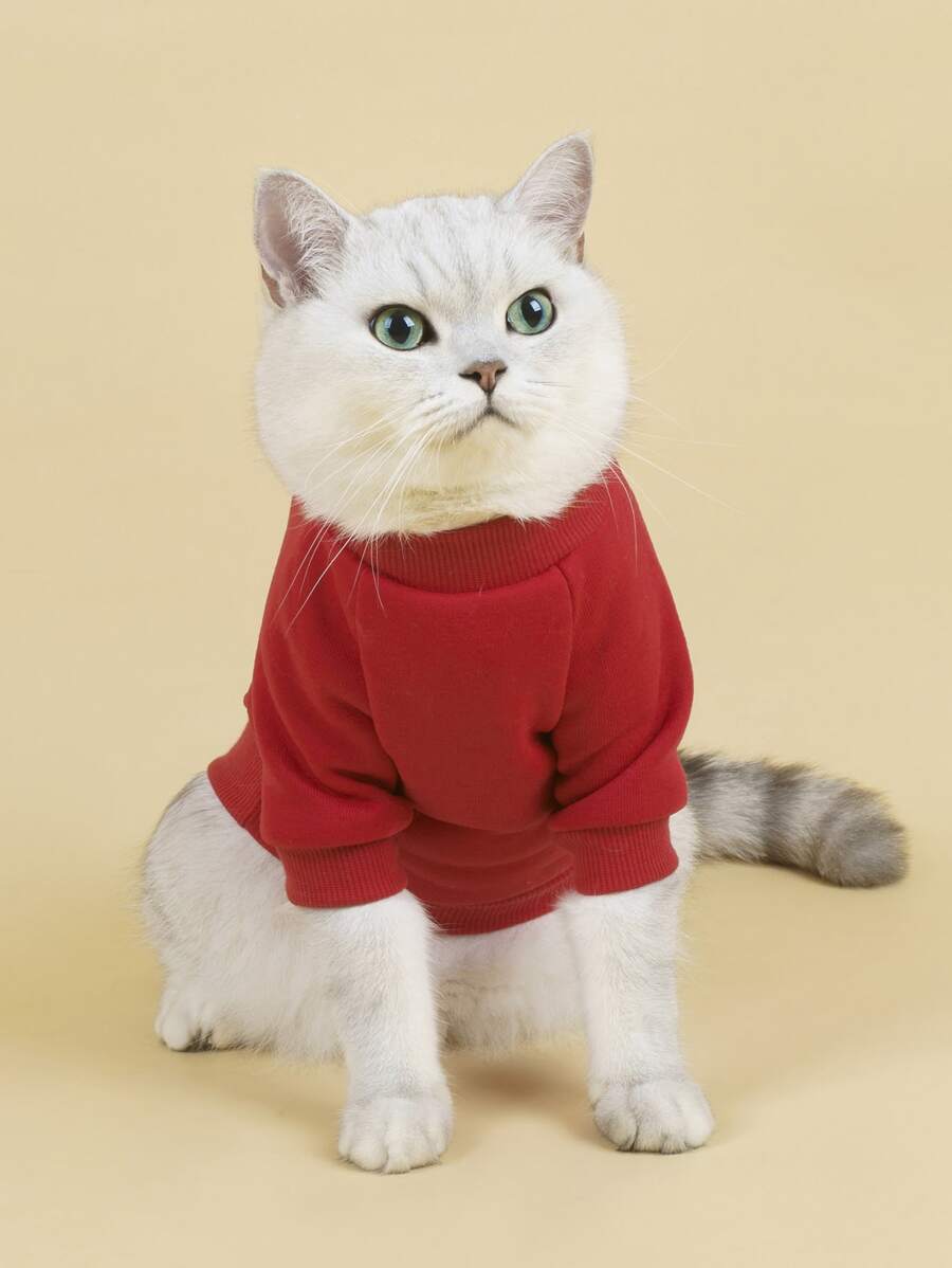 1pc Plain Pet Sweatshirt - Red - View 1