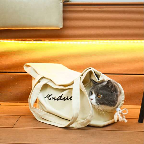 

1pc Letter Graphic Random Pet Carrier Bag, Multicolor