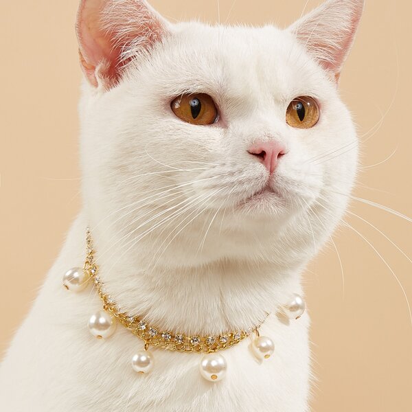 

Faux Pearl Decor Pet Necklace, Multicolor