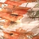 متعدد الألوان