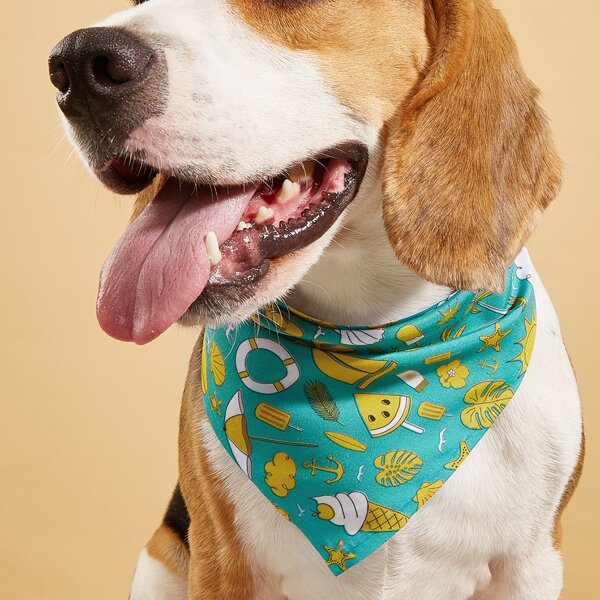 

Ice Cream Print Bandana, Multicolor