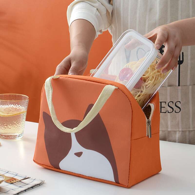 

Cartoon Graphic Insulated Lunch Box Bag, Orange