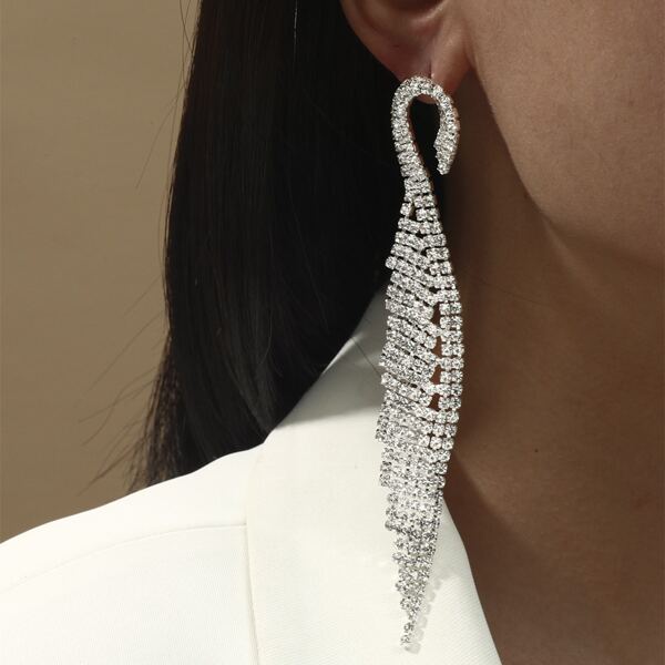 

Rhinestone Decor Drop Earrings, Silver